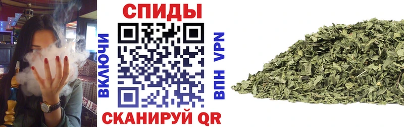 ссылка на мегу зеркало Михайлов БУТИРАТ Butirat