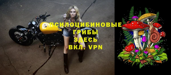 стаф Беломорск