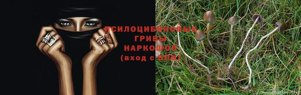 стаф Беломорск