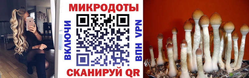 Галлюциногенные грибы прущие грибы  наркошоп  Михайлов 